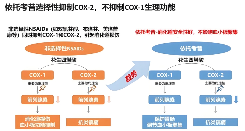 【项目推荐】镇痛药：依托考昔片